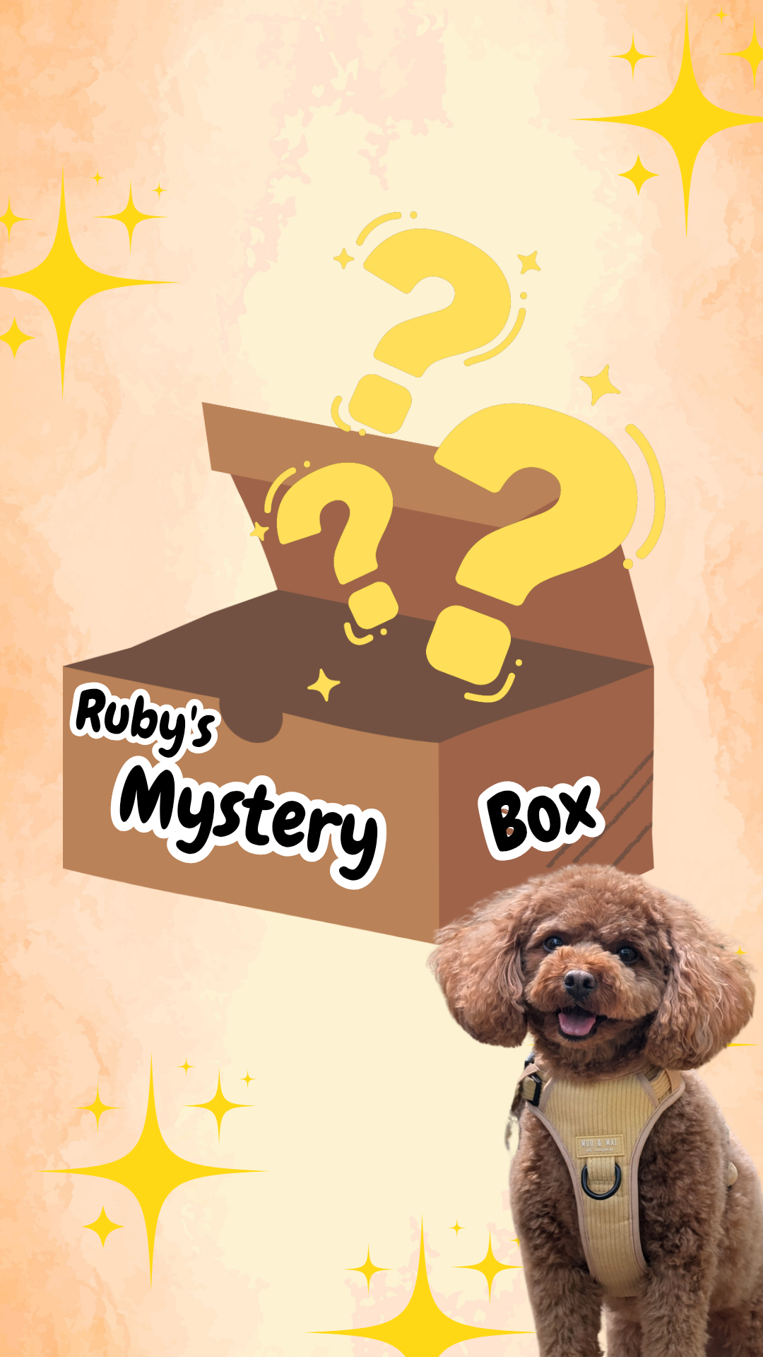 ..Ruby's Mystery Box ✨