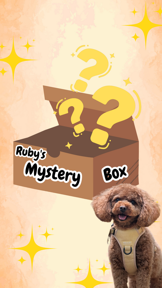 ..Ruby's Mystery Box ✨