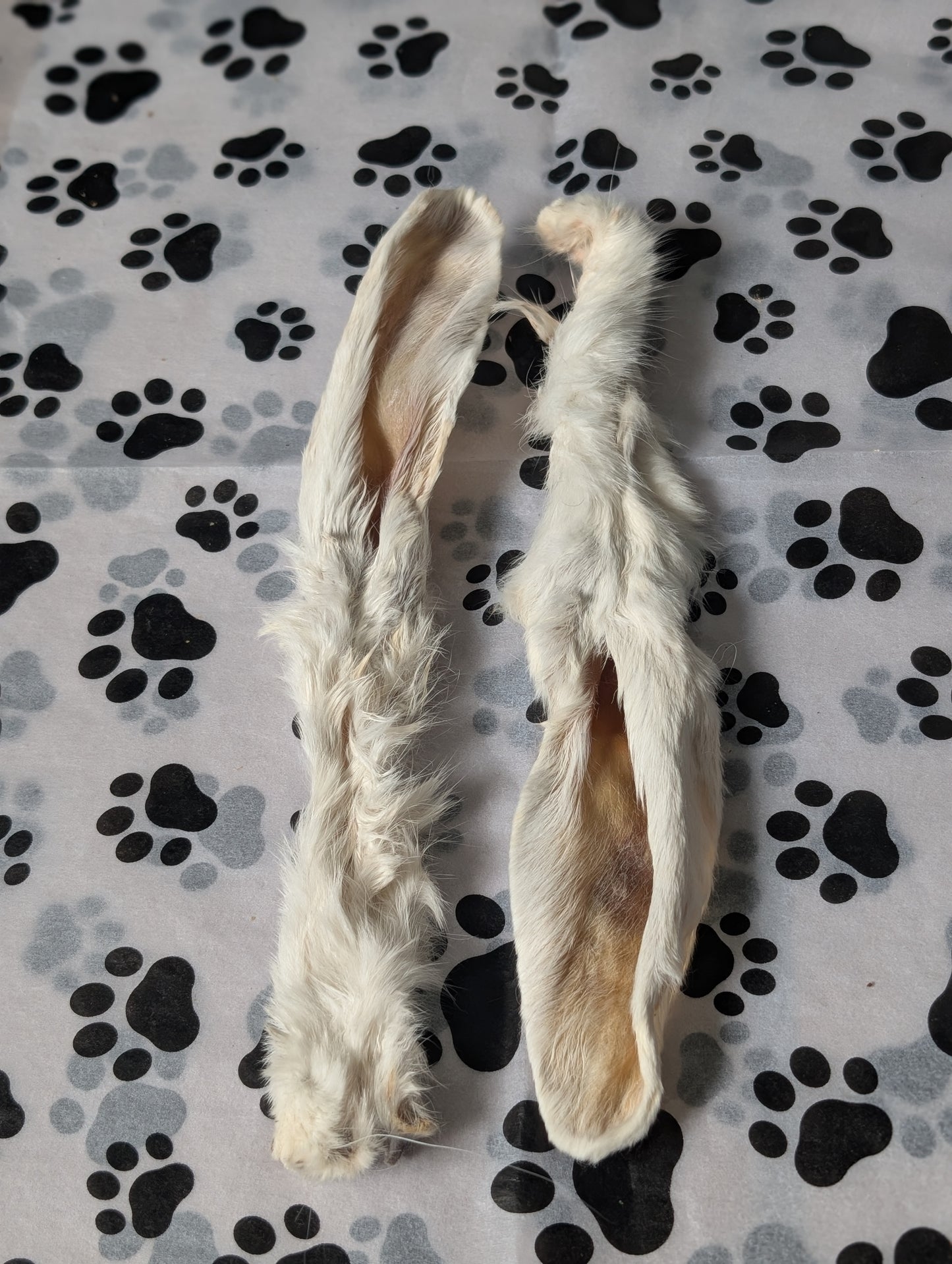 Rabbit Ears