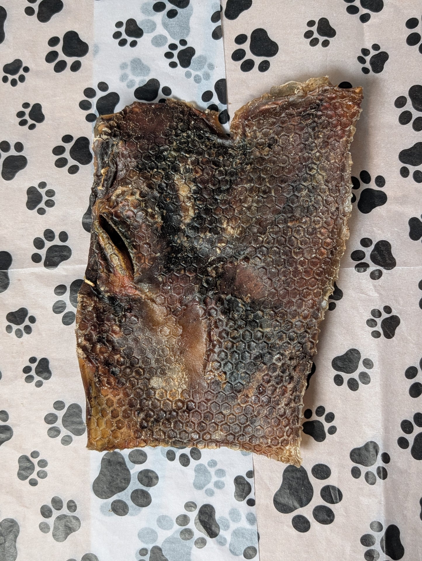 Camel Skin Plates