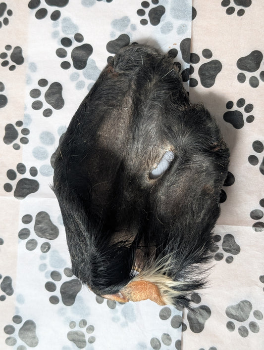 Beef - Large Hairy Cows Ear