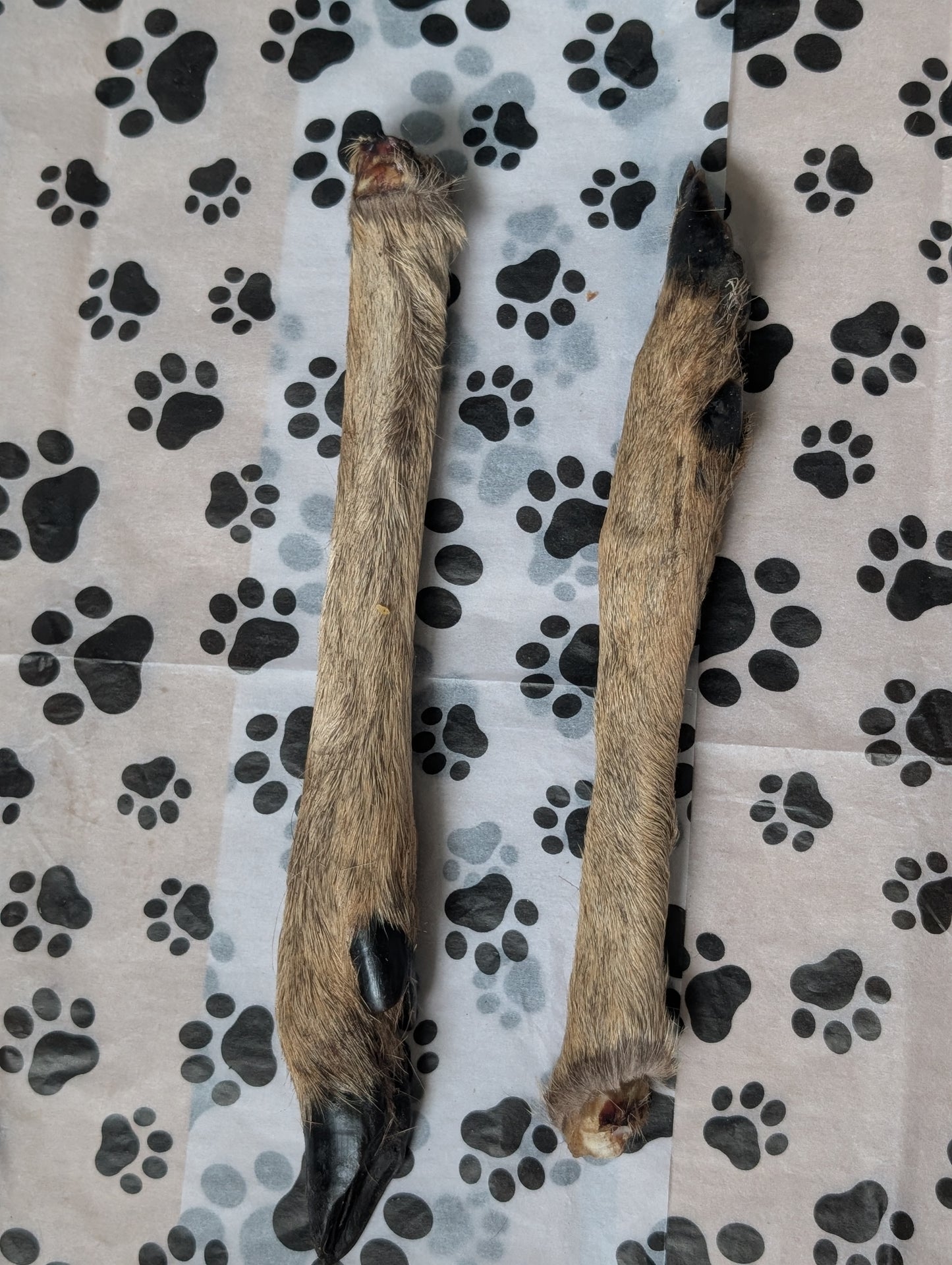 Venison Leg
