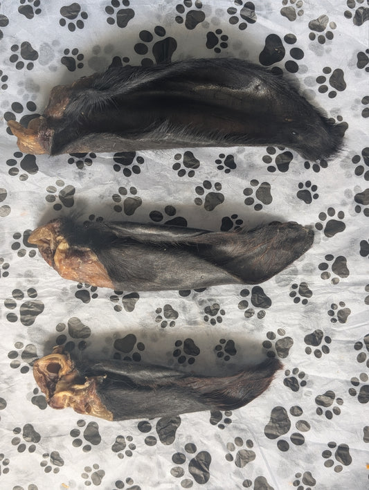 Buffalo Ear