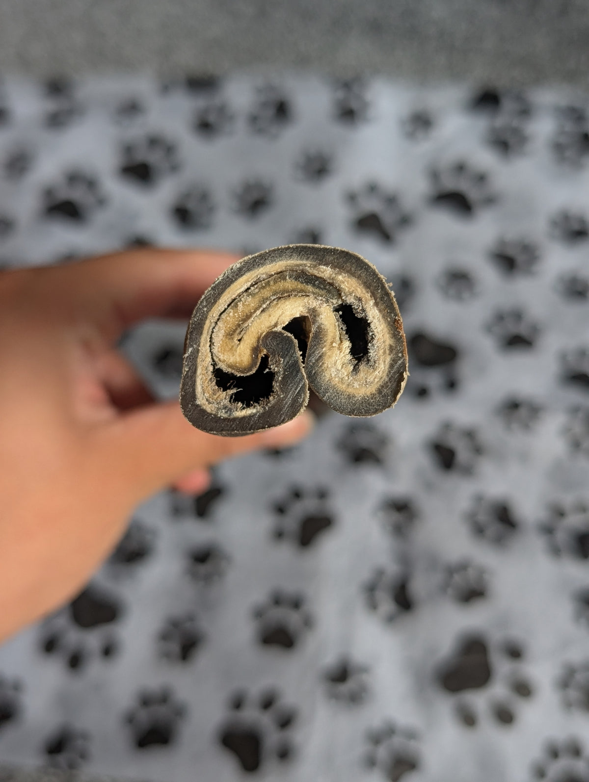 Camel skin roll 30cm